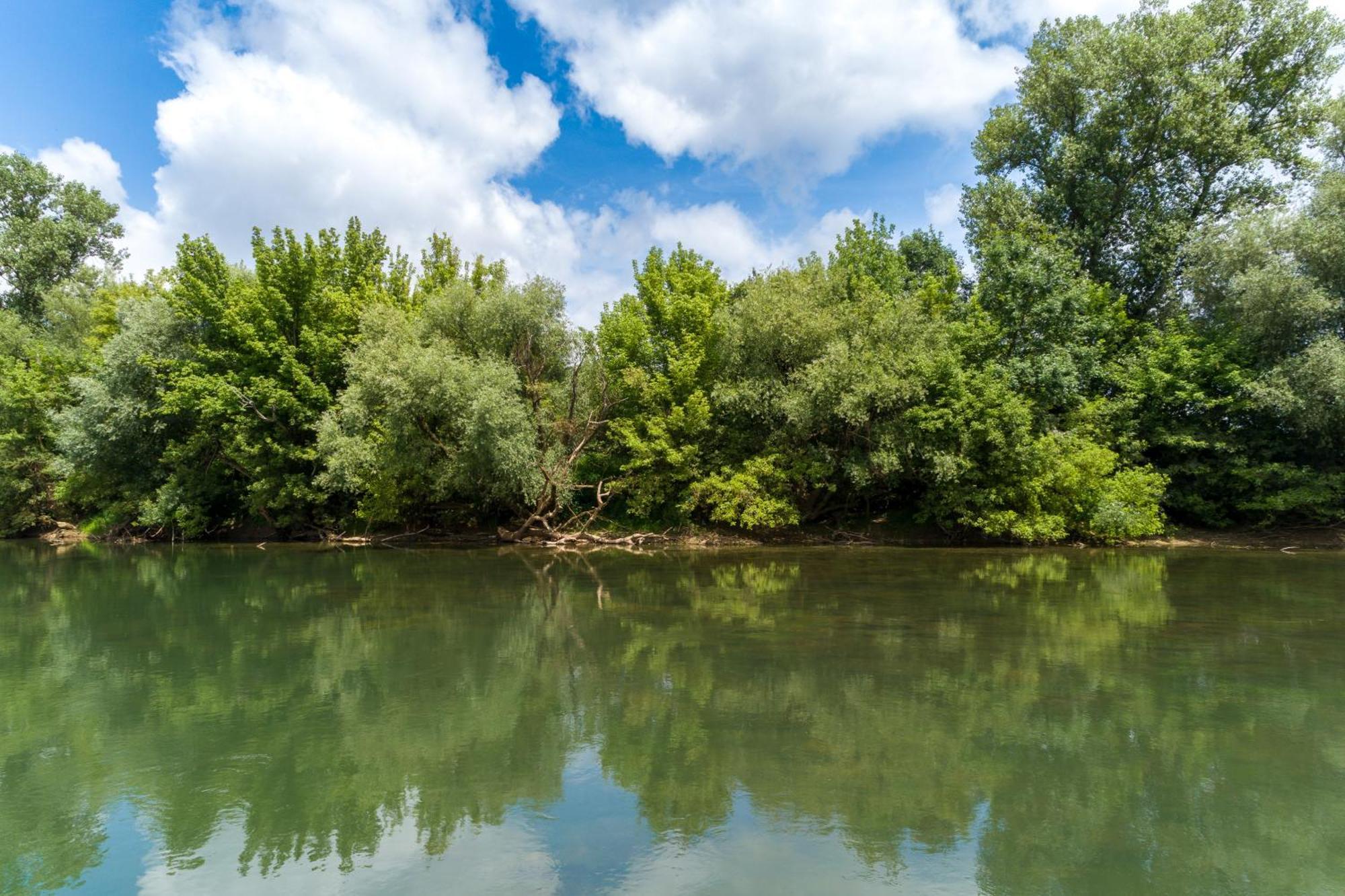 Zagreb, Kuca Za Odmor Swan River Holiday House Lasinja Экстерьер фото