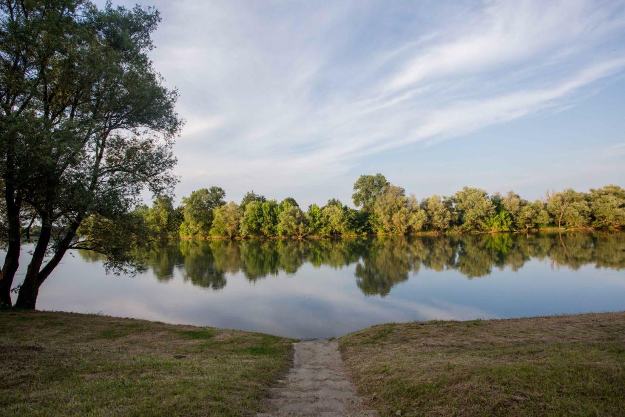 Zagreb, Kuca Za Odmor Swan River Holiday House Lasinja Экстерьер фото